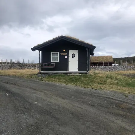 Apartment Syndinstoga