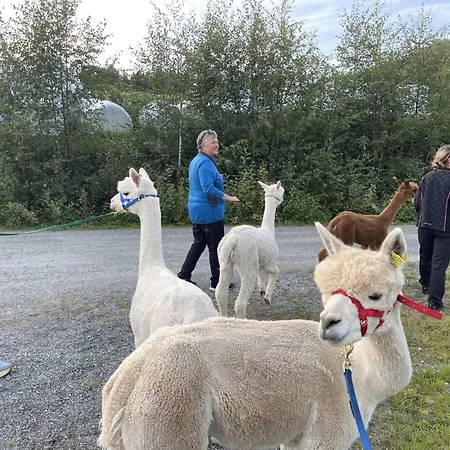 Syndinstoga Apartment Ryfoss